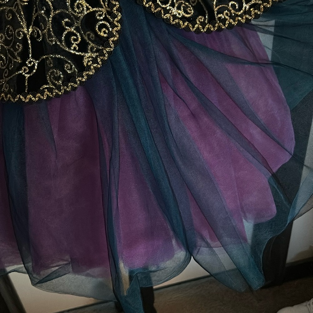 Weissman Ballet Dance Costume - image 2